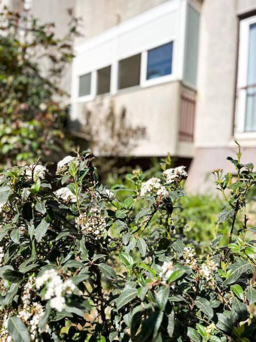 Apartman Dorja Fažana Εξωτερικό φωτογραφία